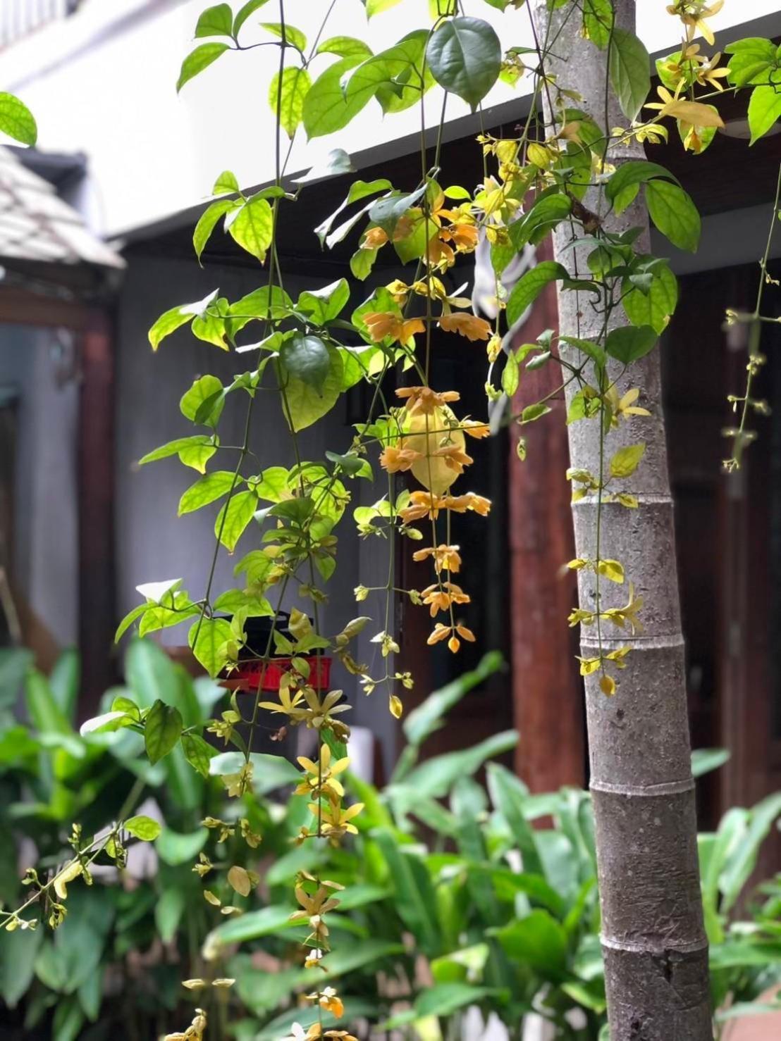 Kham Mon Lanna Resort Chiang Mai Bagian luar foto
